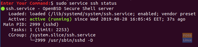 Check The SSH Service Status