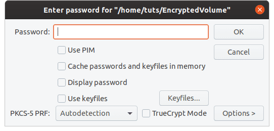 Encrypted volume password.