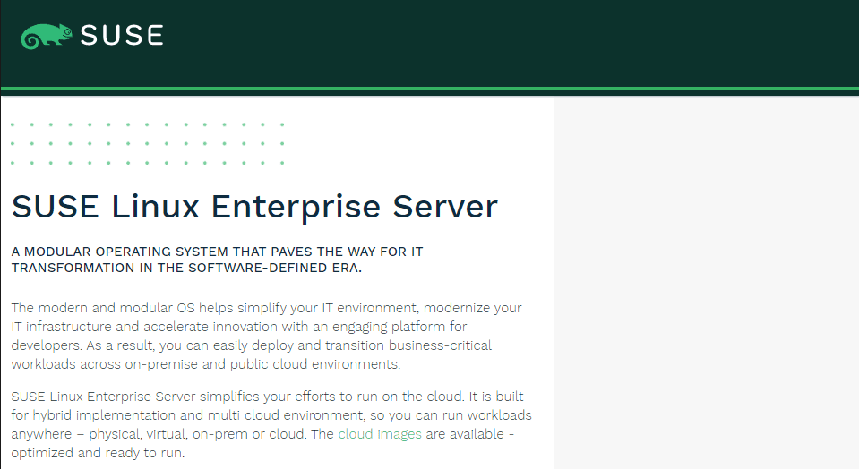 SUSE-enterprise-linux-server