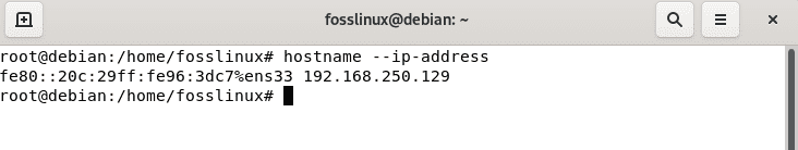 hostname ip address
